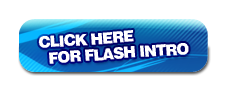 flash-intro